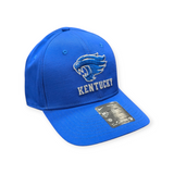 Kentucky Wildcats Nike Blue Adjustable Club Hat - Pro Jersey Sports