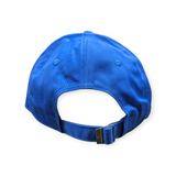 Florida Gators Nike Jumpman Blue Adjustable Club Hat - Pro Jersey Sports