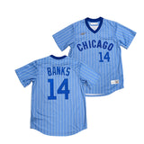 Men's Ernie Banks Chicago Cubs Cooperstown Powder Blue NIKE Replica Jersey - Pro Jersey Sports