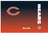 Chicago Bears™ Ombre 20 oz. Stainless Steel Tumbler - Pro Jersey Sports