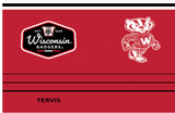 Wisconsin Badgers™ Vintage 20 oz. Stainless Steel Tumbler - Pro Jersey Sports
