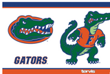 Florida Gators™ Tradition 20 oz. Stainless Steel Tumbler - Pro Jersey Sports