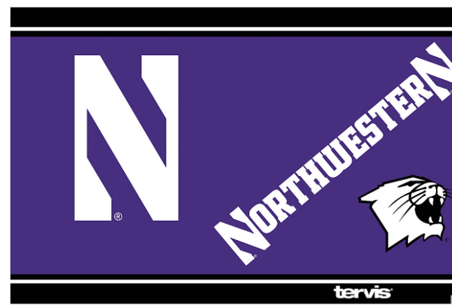 Northwestern Wildcats™ Campus 20 oz. Stainless Steel Tumbler
