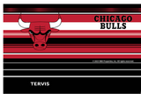 Chicago Bulls™ Hype Stripes 20 oz. Stainless Steel Tumbler By Tervis - Pro Jersey Sports