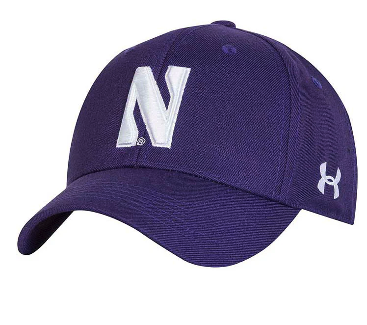 Men's Under Armour Purple Northwestern Wildcats Classic Adjustable Hat