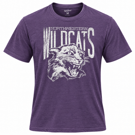 Tailgate Men's Northwestern Wildcats Mascot Honors Purple T-Shirt