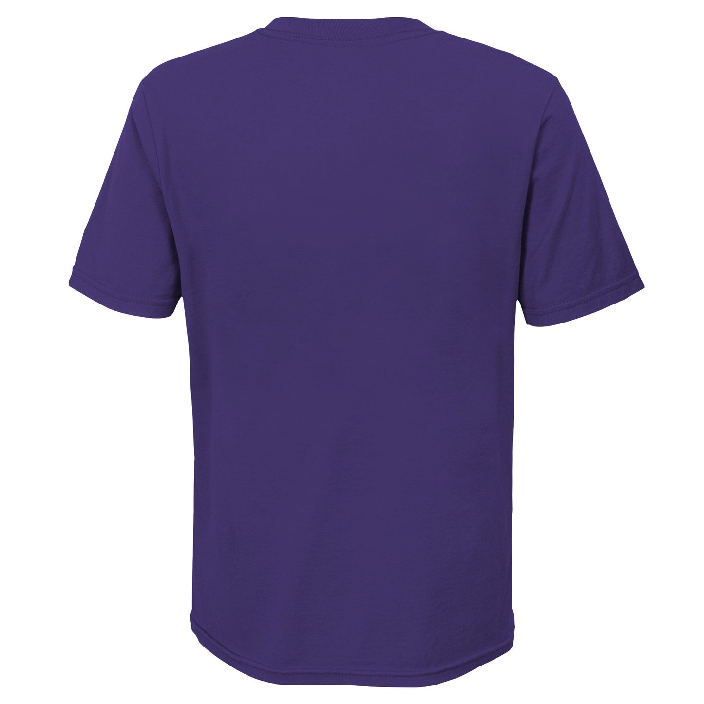 Youth Minnesota Vikings Nike Primary Logo Purple Dri-Fit Tee