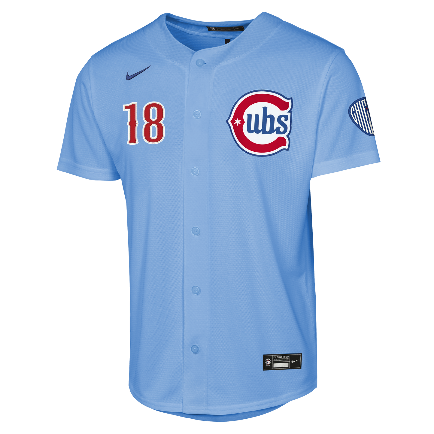 Youth Chicago Cubs Shota Imanaga Alternate 2 NIKE Homerun Powder Blue Replica Jersey