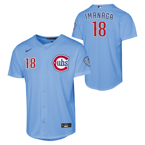 Youth Chicago Cubs Shota Imanaga Alternate 2 NIKE Homerun Powder Blue Replica Jersey