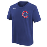 Youth Chicago Cubs Dansby Swanson Nike FUSE Royal Blue Name & Number T-Shirt - Pro Jersey Sports