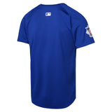 Youth Chicago Cubs NIKE Blue Alternate Limited Blank Replica Jersey - Pro Jersey Sports