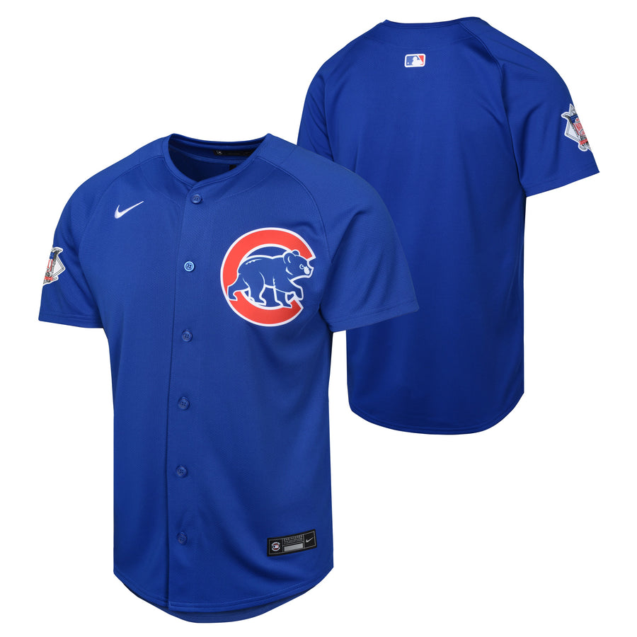 Youth Chicago Cubs NIKE Blue Alternate Limited Blank Replica Jersey
