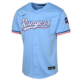 Youth Corey Seager Texas Rangers NIKE Blue Alternate Limited Replica Jersey - Pro Jersey Sports