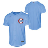 Youth Chicago Cubs Baby Blue Blues Alternate 2 Nike Replica Jersey - Pro Jersey Sports