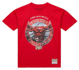 Chicago Bulls Red 1998 NBA Champions Tour Heritage T-Shirt - Pro Jersey Sports