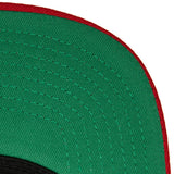 Miami Heat HWC Team Script 2.0 Mitchell & Ness Snapback Hat - Pro Jersey Sports