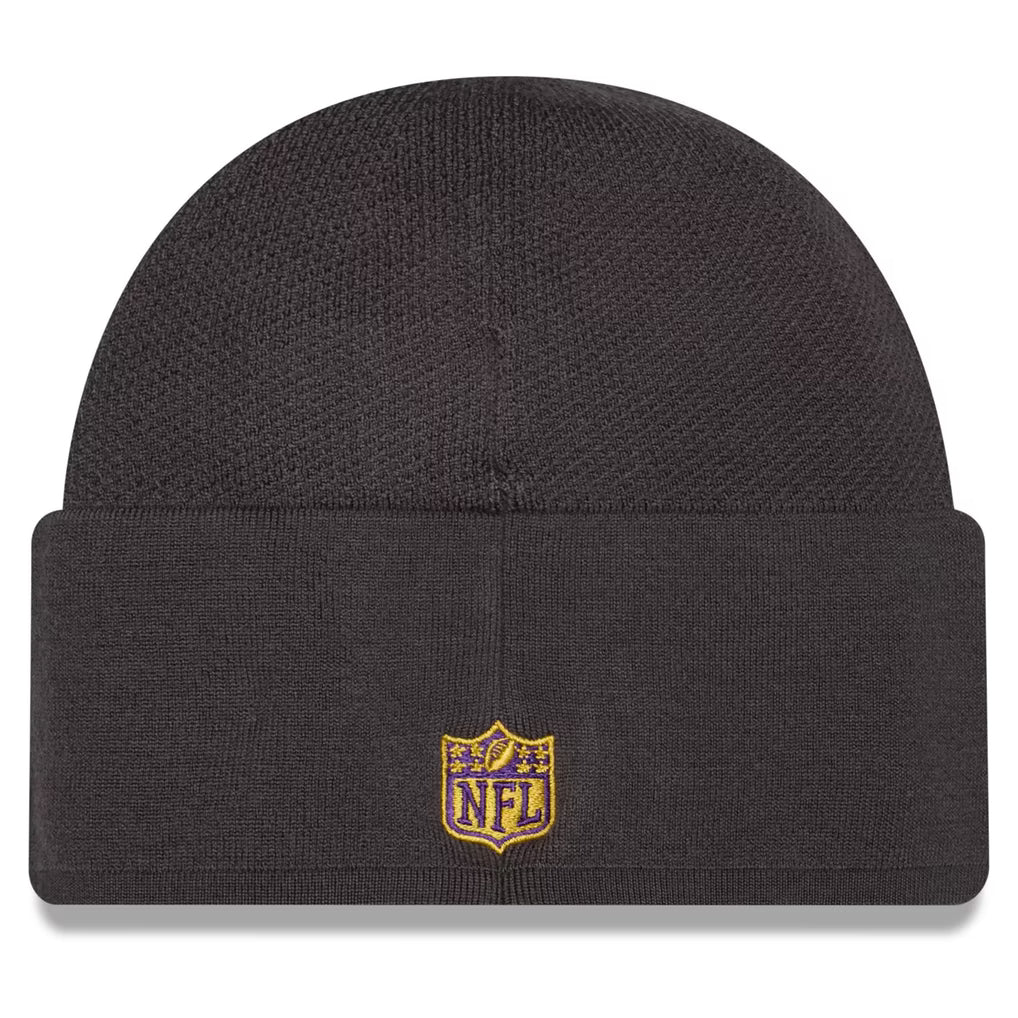 Minnesota Vikings 2026 New Era Official Sideline Gray Skully Knit Hat