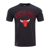 Men's Chicago Bulls Pro Standard Black Classic Bristle Slim-Fit T-Shirt - Pro Jersey Sports