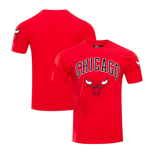 Men's Chicago Bulls Pro Standard Red Classic Bristle Slim-Fit T-Shirt