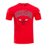 Men's Chicago Bulls Pro Standard Red Classic Bristle Slim-Fit T-Shirt - Pro Jersey Sports