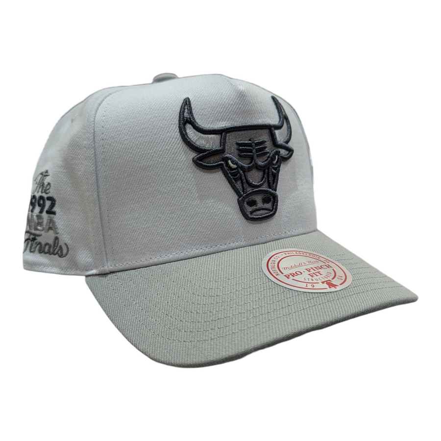 Chicago Bulls Mitchell & Ness NBA Core Jordan VII Pro Snapback Hat