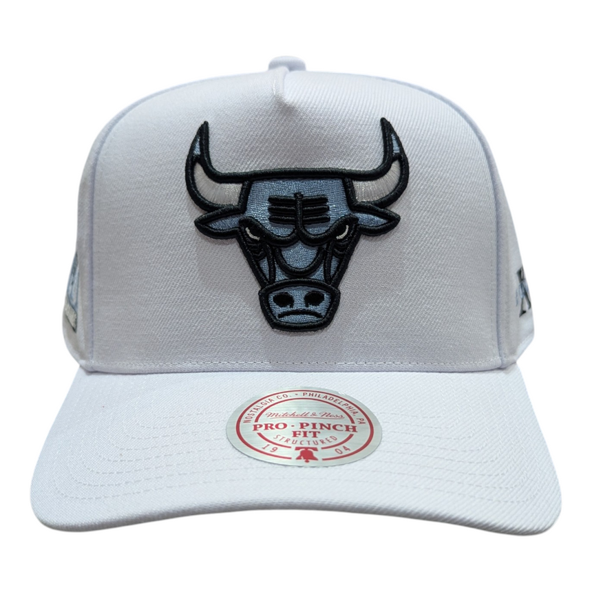Chicago Bulls Mitchell & Ness NBA Core Jordan XI Pro Snapback Hat - Pro Jersey Sports