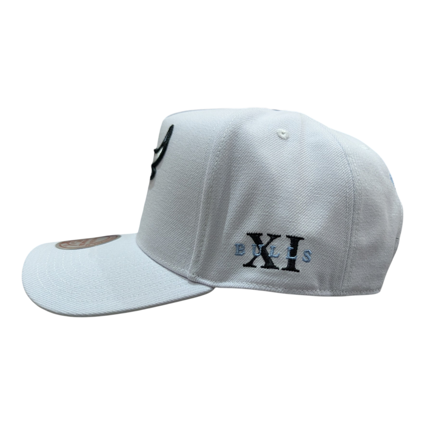 Chicago Bulls Mitchell & Ness NBA Core Jordan XI Pro Snapback Hat - Pro Jersey Sports