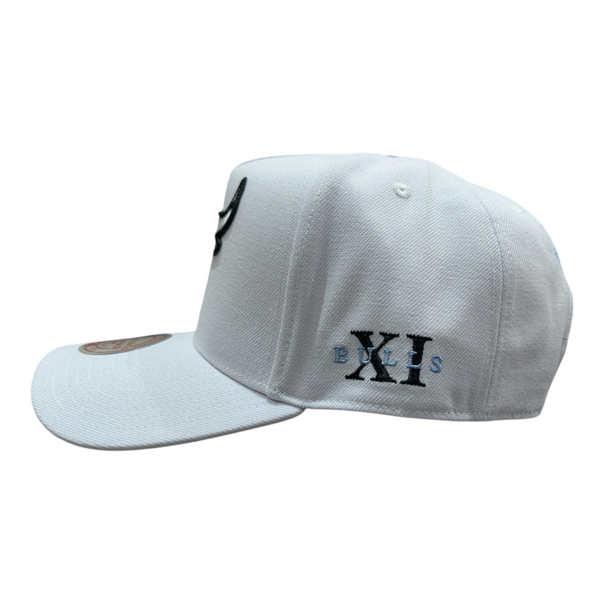 Chicago Bulls Mitchell & Ness NBA Core Jordan XI Pro Snapback Hat - Pro Jersey Sports