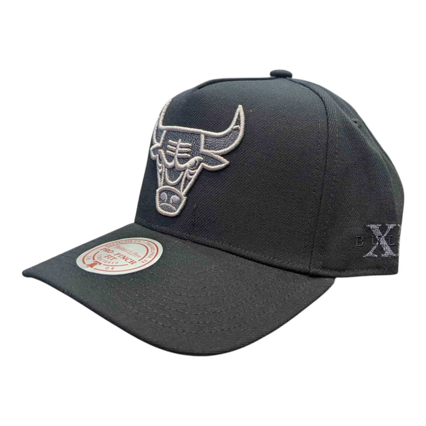 Chicago Bulls Mitchell & Ness NBA Core Jordan XI Pro Snapback Hat - Pro Jersey Sports