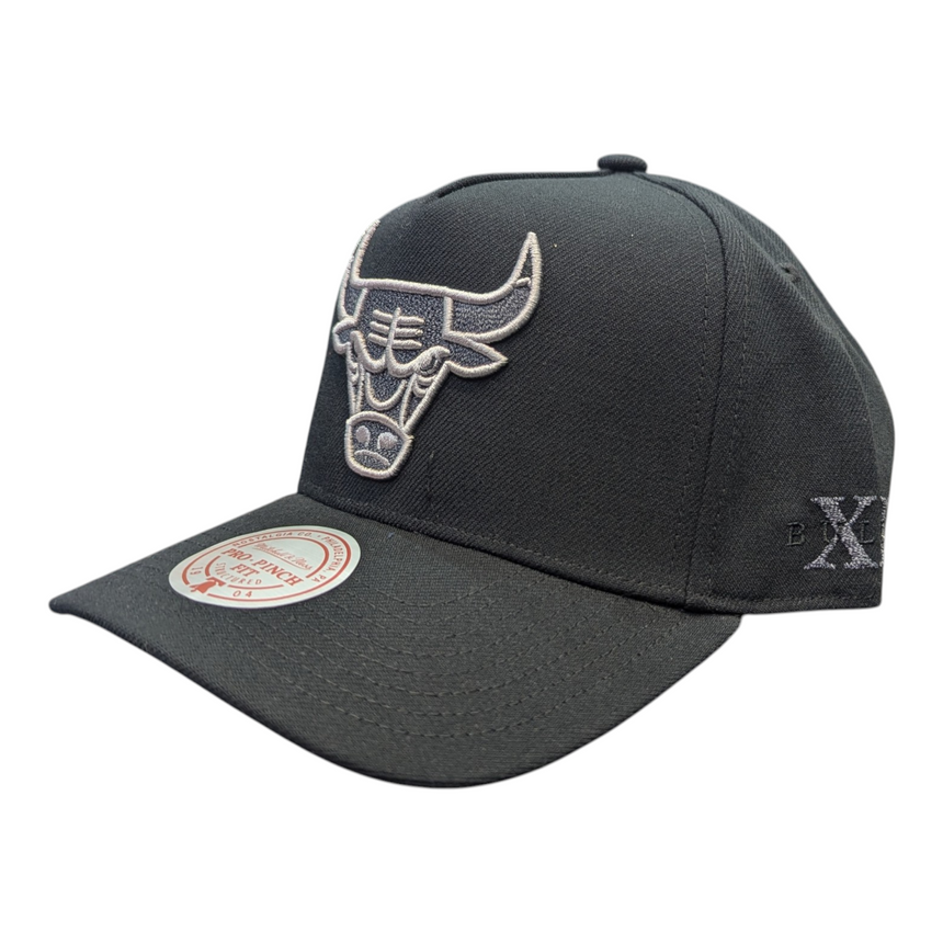 Chicago Bulls Mitchell & Ness NBA Core Jordan XI Pro Snapback Hat - Pro Jersey Sports