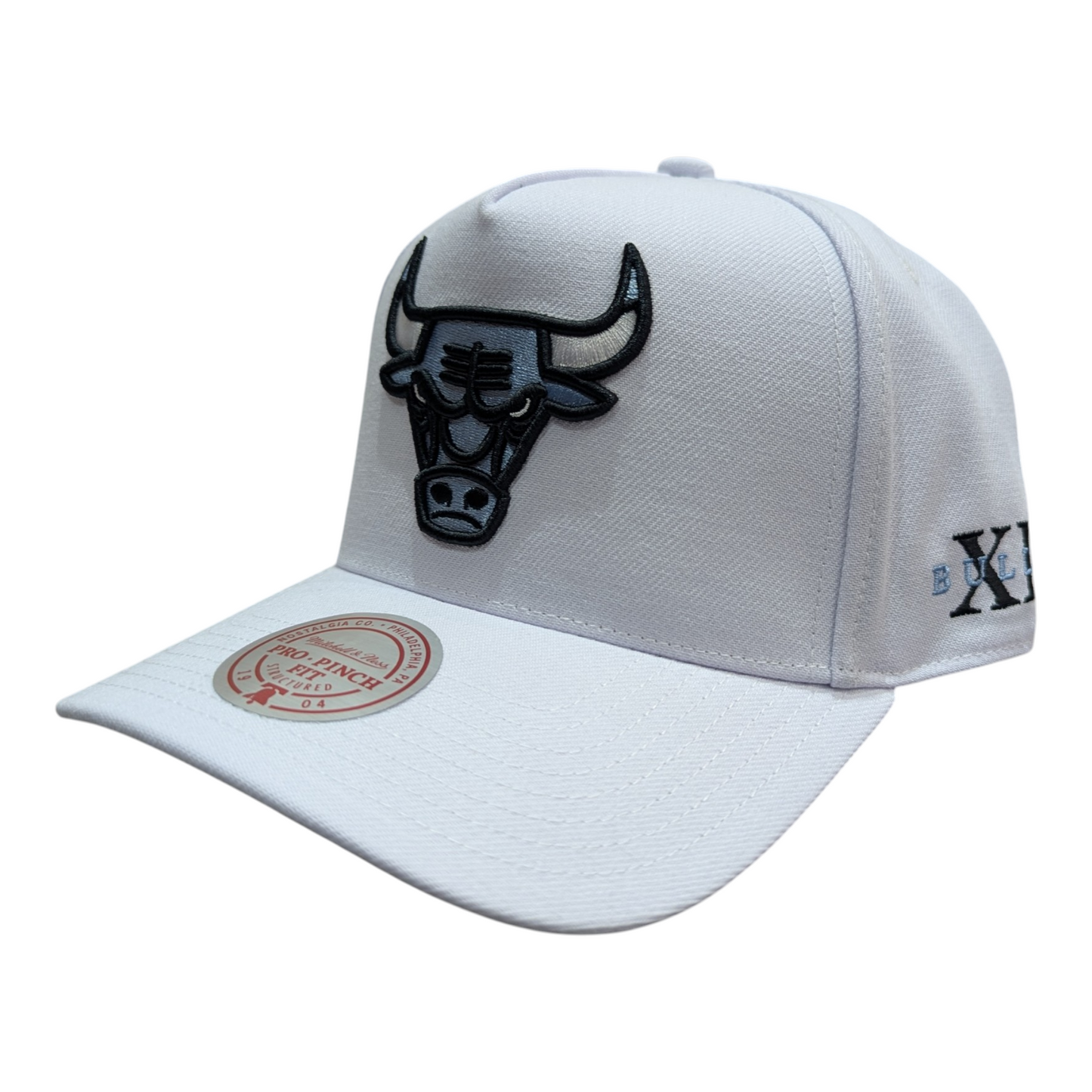 Chicago Bulls Mitchell & Ness NBA Core Jordan XI Pro Snapback Hat - Pro Jersey Sports