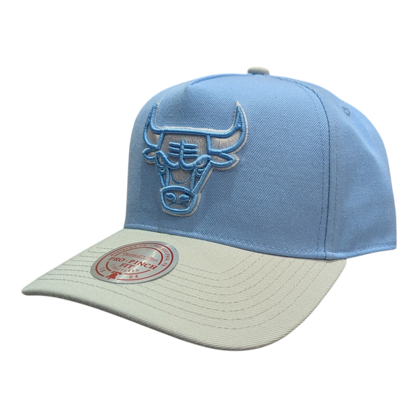 Chicago Bulls Mitchell & Ness NBA Blue Gleam Pro Snapback Hat - Pro Jersey Sports