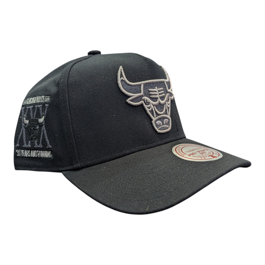 Chicago Bulls Mitchell & Ness NBA Core Jordan XI Pro Snapback Hat
