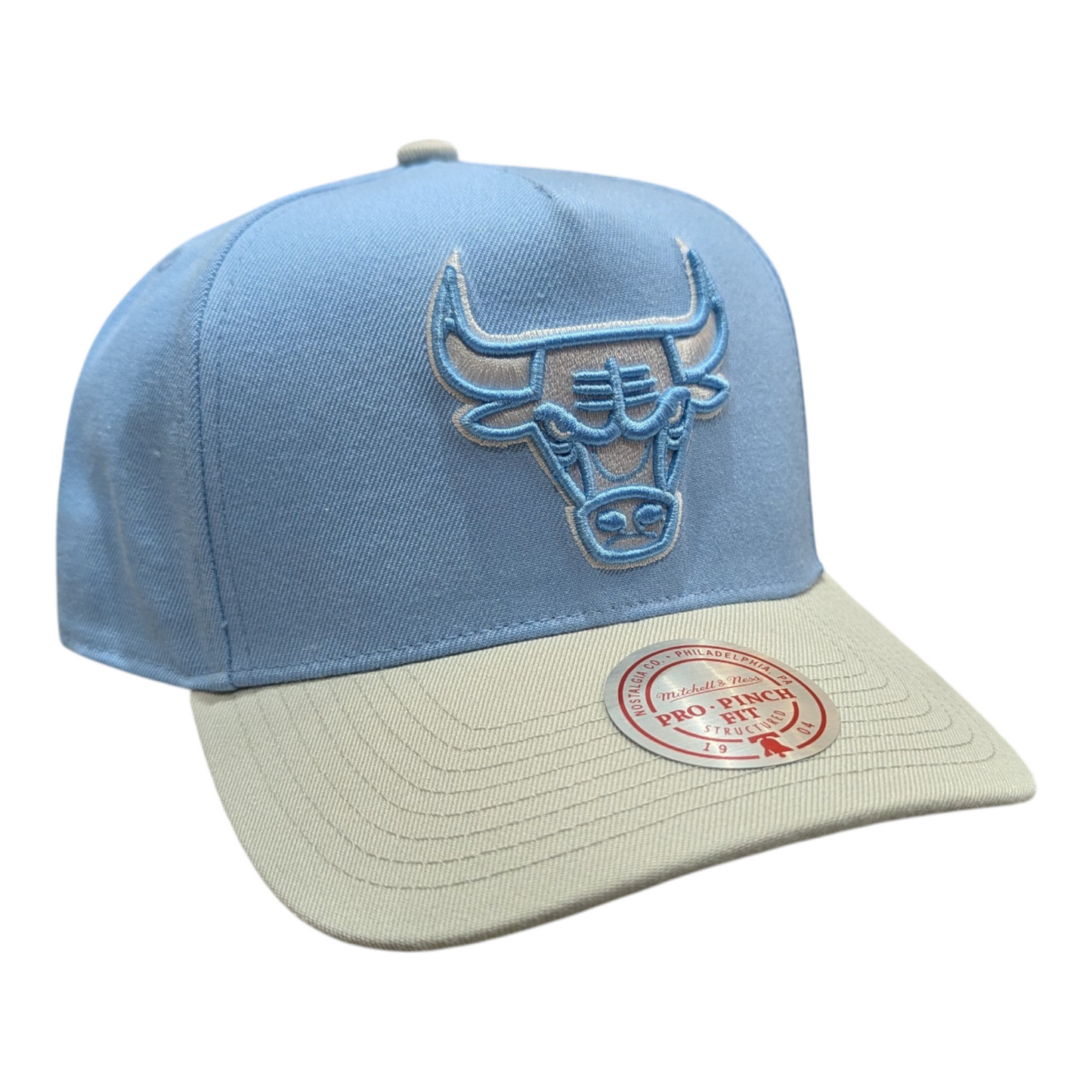 Chicago Bulls Mitchell & Ness NBA Blue Gleam Pro Snapback Hat - Pro Jersey Sports