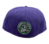 Anaheim Mighty Ducks New Era Purple/Teal Ducks Fly Together 59FIFTY Fitted Hat - Pro Jersey Sports