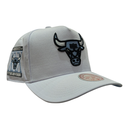 Chicago Bulls Mitchell & Ness NBA Core Jordan XI Pro Snapback Hat - Pro Jersey Sports