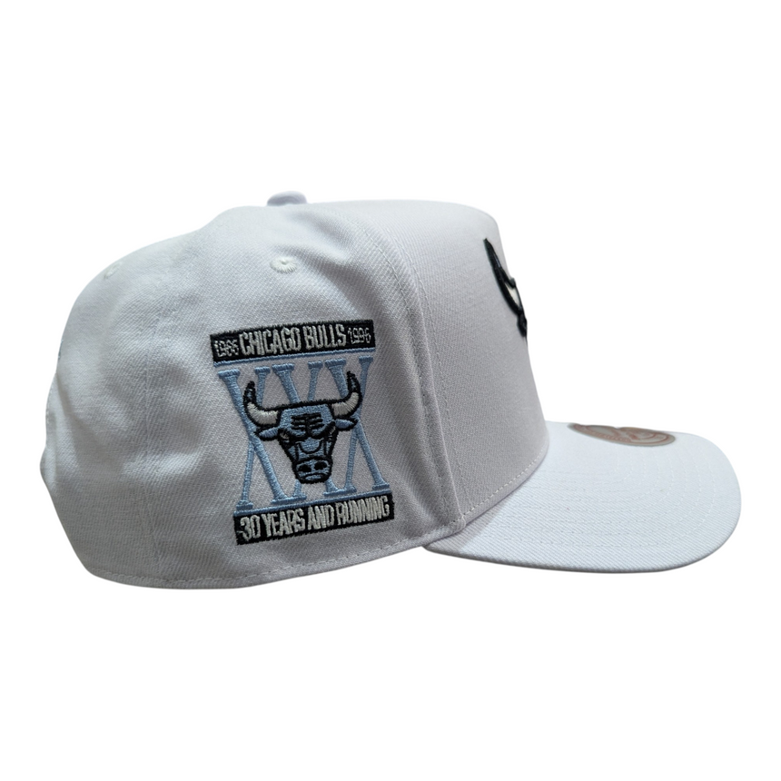 Chicago Bulls Mitchell & Ness NBA Core Jordan XI Pro Snapback Hat - Pro Jersey Sports