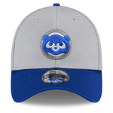 Men's Chicago Cubs New Era 2025 Batting Practice Graphite/Royal 39THIRTY Flex-Fit Hat - Pro Jersey Sports
