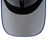 Men's Chicago Cubs New Era 2025 Batting Practice Graphite/Royal 39THIRTY Flex-Fit Hat - Pro Jersey Sports
