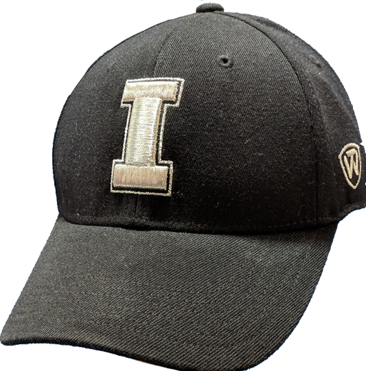 Mens NCAA Iowa Hawkeyes B.A.F. Black Memory Fit Hat