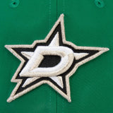 Men's Dallas Stars Primary Logo Fanatics Flex Hat - Pro Jersey Sports