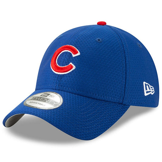 Men's Chicago Cubs New Era Royal 2019 Batting Practice 9TWENTY Adjustable Hat