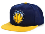 Men's Vancouver Grizzlies Mitchell & Ness Navy/Gold Alternate Core Basic Adjustable Snapback Hat - Pro Jersey Sports