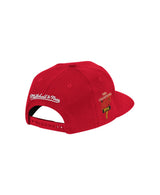 Men's Houston Rockets Mitchell & Ness Champ Year Trophy Snapback Hat - Pro Jersey Sports
