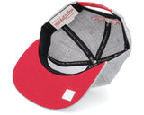 Atlanta Hawks Team Heathered Gray 2.0 Mitchell & Ness Snapback Hat - Pro Jersey Sports