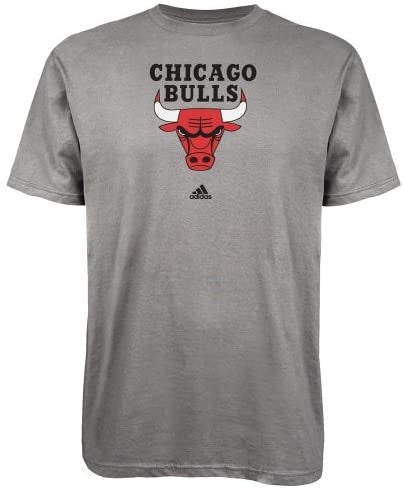 Men's NBA Chicago Bulls Gray Primary Logo T-Shirt