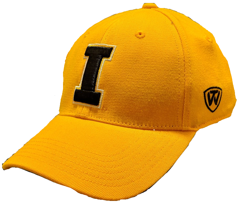 Mens NCAA Iowa Hawkeyes B.A.F. Gold Memory Fit Hat