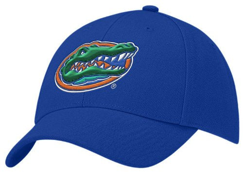 NCAA Florida Gators Adult Royal Swoosh Flex Hat By Nike