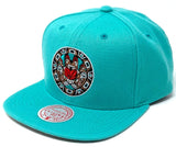 Men's Vancouver Grizzlies Mitchell & Ness Teal Alternate Core Basic Adjustable Snapback Hat - Pro Jersey Sports