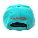 Men's Vancouver Grizzlies Mitchell & Ness Teal Alternate Core Basic Adjustable Snapback Hat - Pro Jersey Sports
